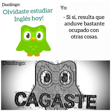 memes de duolingo en español.